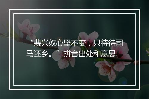 “裴兴奴心坚不变，只待待司马还乡。”拼音出处和意思