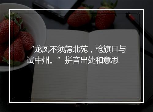 “龙凤不须誇北苑，枪旗且与试中州。”拼音出处和意思