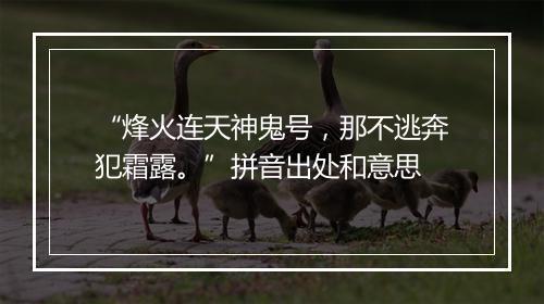 “烽火连天神鬼号，那不逃奔犯霜露。”拼音出处和意思