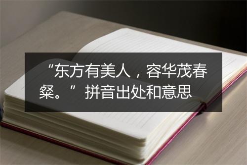 “东方有美人，容华茂春粲。”拼音出处和意思