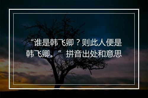 “谁是韩飞卿？则此人便是韩飞卿。”拼音出处和意思