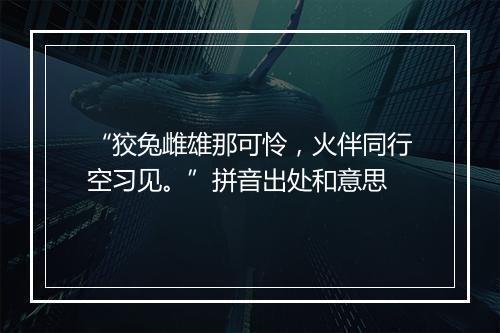 “狡兔雌雄那可怜，火伴同行空习见。”拼音出处和意思