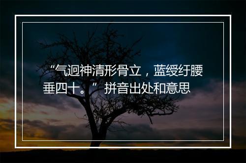 “气迥神清形骨立，蓝绶纡腰垂四十。”拼音出处和意思