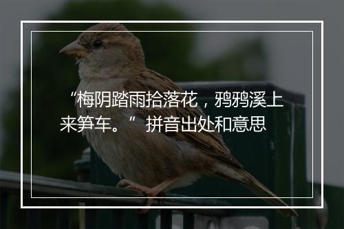 “梅阴踏雨拾落花，鸦鸦溪上来笋车。”拼音出处和意思