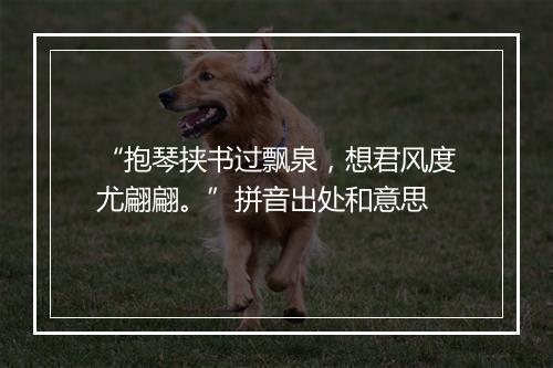 “抱琴挟书过飘泉，想君风度尤翩翩。”拼音出处和意思