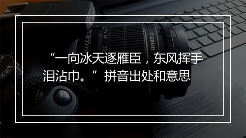 “一向冰天逐雁臣，东风挥手泪沾巾。”拼音出处和意思