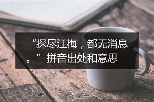 “探尽江梅，都无消息。”拼音出处和意思