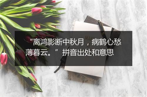 “离鸿影断中秋月，病鹤心愁薄暮云。”拼音出处和意思