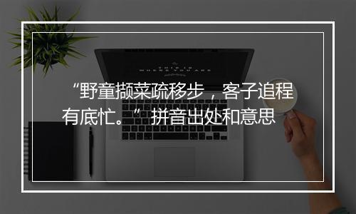 “野童撷菜疏移步，客子追程有底忙。”拼音出处和意思