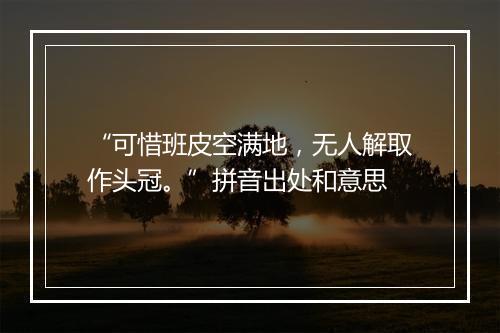 “可惜班皮空满地，无人解取作头冠。”拼音出处和意思