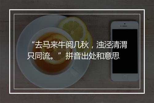 “去马来牛阅几秋，浊泾清渭只同流。”拼音出处和意思