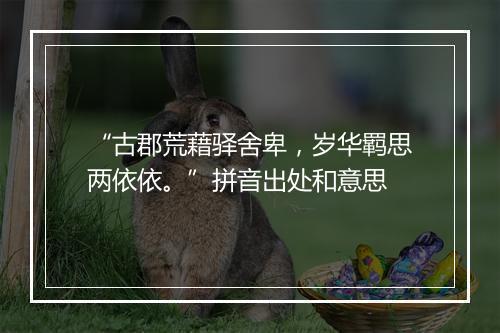 “古郡荒藉驿舍卑，岁华羁思两依依。”拼音出处和意思