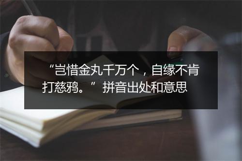 “岂惜金丸千万个，自缘不肯打慈鸦。”拼音出处和意思