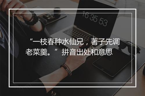 “一枝春种水仙兄，著子先调老菜羹。”拼音出处和意思