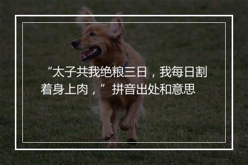 “太子共我绝粮三日，我每日割着身上肉，”拼音出处和意思