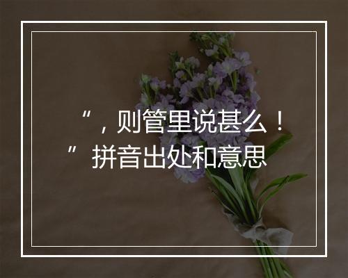 “，则管里说甚么！”拼音出处和意思