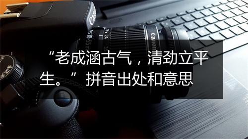 “老成涵古气，清劲立平生。”拼音出处和意思