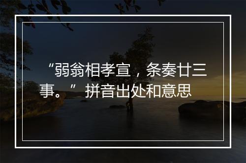 “弱翁相孝宣，条奏廿三事。”拼音出处和意思