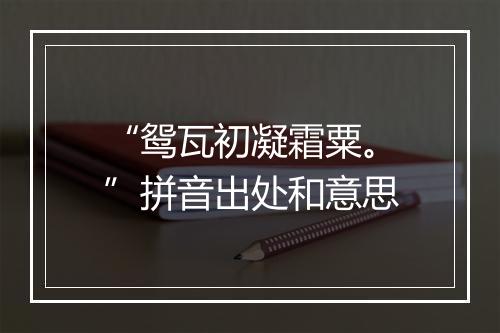 “鸳瓦初凝霜粟。”拼音出处和意思