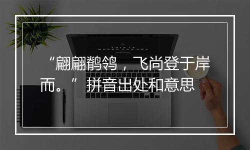 “翩翩鹡鸰，飞尚登于岸而。”拼音出处和意思