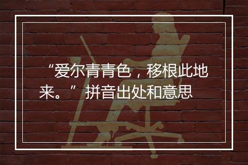 “爱尔青青色，移根此地来。”拼音出处和意思