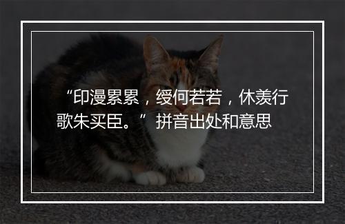 “印漫累累，绶何若若，休羡行歌朱买臣。”拼音出处和意思