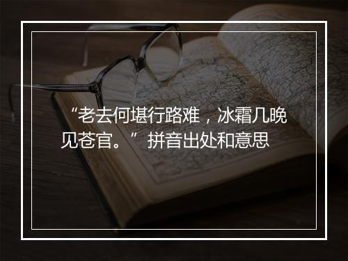 “老去何堪行路难，冰霜几晚见苍官。”拼音出处和意思