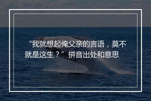 “我就想起俺父亲的言语，莫不就是这生？”拼音出处和意思