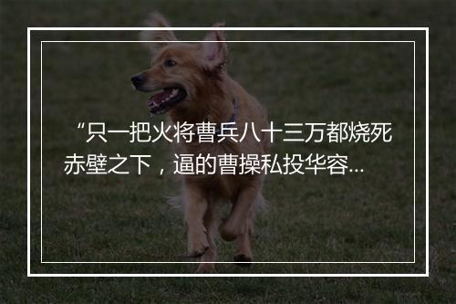 “只一把火将曹兵八十三万都烧死赤壁之下，逼的曹操私投华容小路而走，”拼音出处和意思