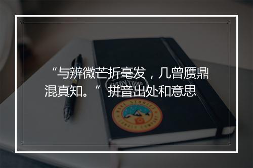 “与辨微芒折毫发，几曾赝鼎混真知。”拼音出处和意思