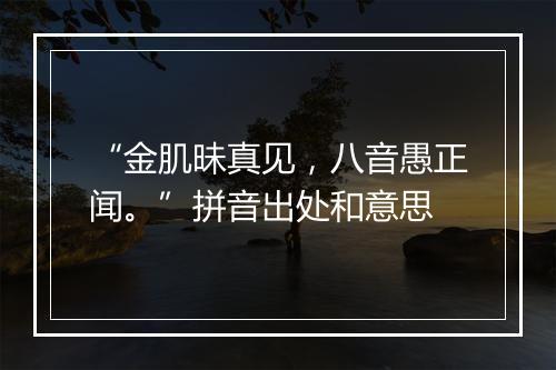 “金肌昧真见，八音愚正闻。”拼音出处和意思