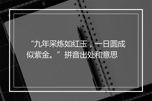 “九年采炼如红玉，一日圆成似紫金。”拼音出处和意思