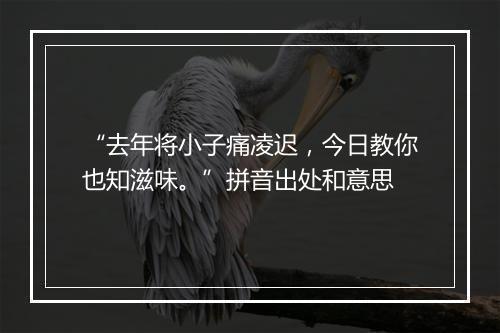 “去年将小子痛凌迟，今日教你也知滋味。”拼音出处和意思