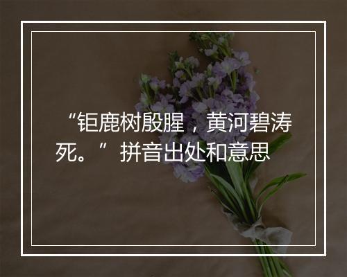 “钜鹿树殷腥，黄河碧涛死。”拼音出处和意思