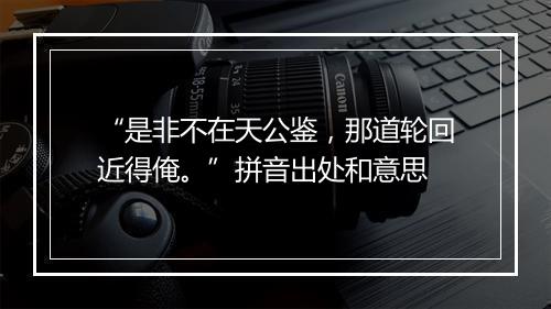 “是非不在天公鉴，那道轮回近得俺。”拼音出处和意思