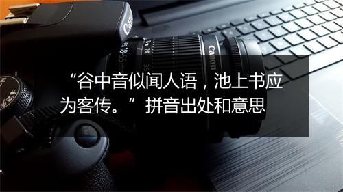 “谷中音似闻人语，池上书应为客传。”拼音出处和意思