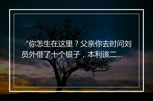 “你怎生在这里？父亲你去时问刘员外借了十个银子，本利该二十个银子，”拼音出处和意思