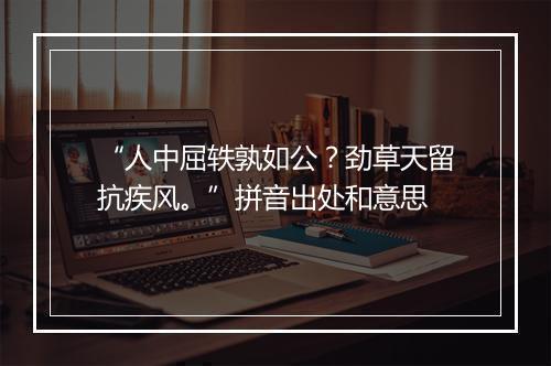 “人中屈轶孰如公？劲草天留抗疾风。”拼音出处和意思