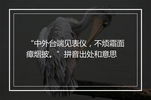 “中外台端见表仪，不烦霜面瘴烟披。”拼音出处和意思