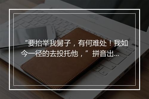 “要抬举我舅子，有何难处！我如今一径的去投托他，”拼音出处和意思