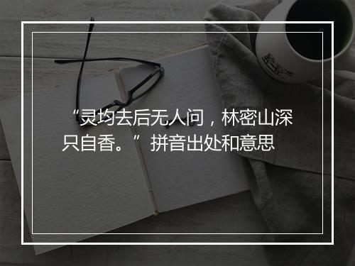 “灵均去后无人问，林密山深只自香。”拼音出处和意思