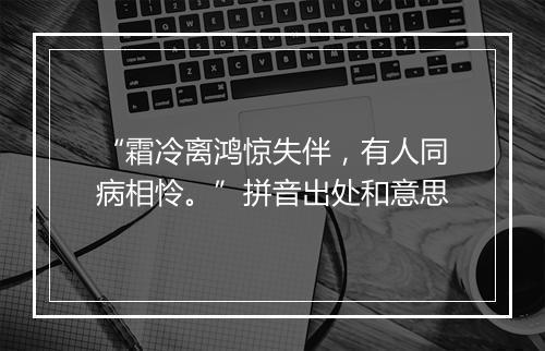 “霜冷离鸿惊失伴，有人同病相怜。”拼音出处和意思