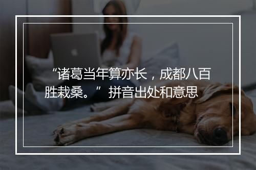 “诸葛当年算亦长，成都八百胜栽桑。”拼音出处和意思