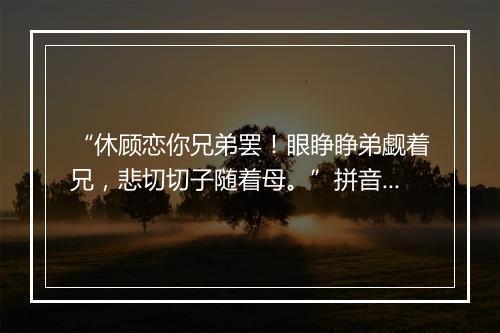 “休顾恋你兄弟罢！眼睁睁弟觑着兄，悲切切子随着母。”拼音出处和意思