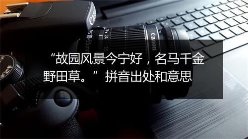 “故园风景今宁好，名马千金野田草。”拼音出处和意思