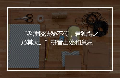 “老潘胶法秘不传，君独得之乃其天。”拼音出处和意思