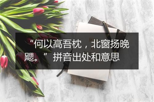 “何以高吾枕，北窗扬晚飔。”拼音出处和意思