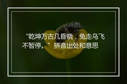 “乾坤万古几昏晓，兔走乌飞不暂停。”拼音出处和意思