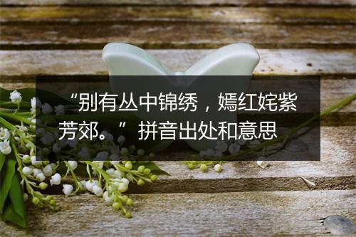 “别有丛中锦绣，嫣红姹紫芳郊。”拼音出处和意思