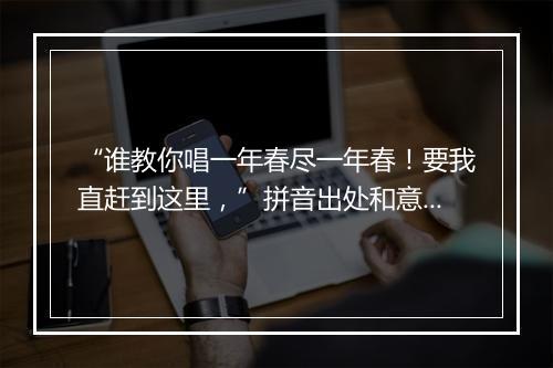 “谁教你唱一年春尽一年春！要我直赶到这里，”拼音出处和意思